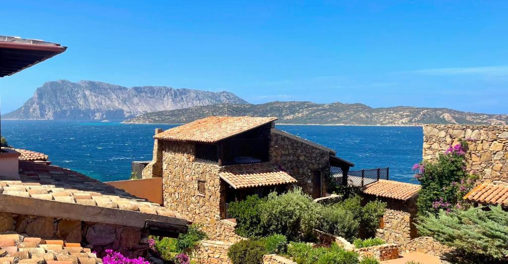Capo Coda Cavallo Apartment | Punta Est - Trilo CORBEZZOLO Vista Incantevole