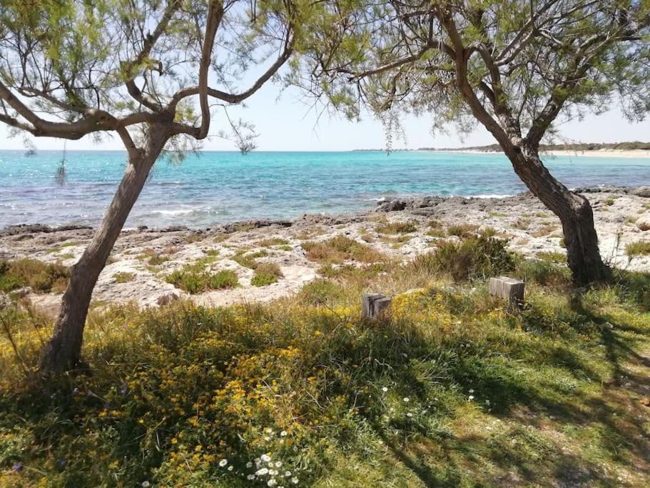 Punta Prosciutto House | Punta Grossa - Porto Cesareo