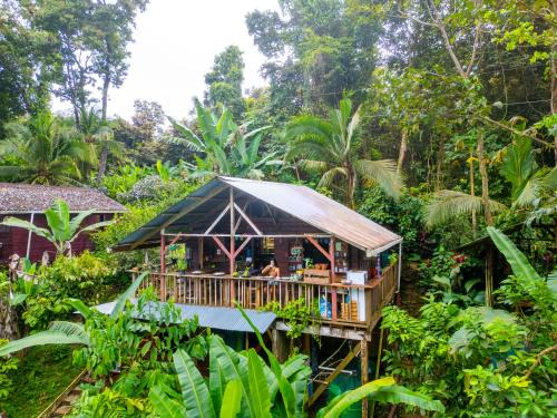 Isla Bastimentos Cabin | Pure Roots
