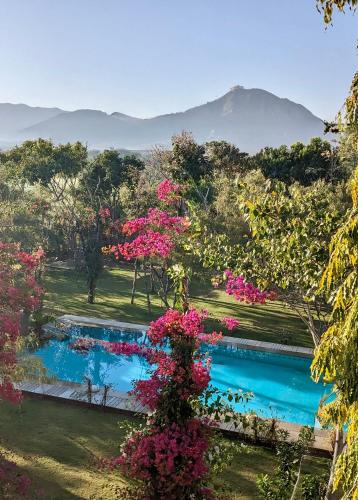 Pushkar Resort | PushkarOrganic - Lux farm resort with pool