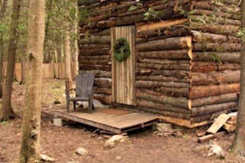 Markdale Cabin | Quaint Off-Grid Cabin with Fire Pit Space in Ontario