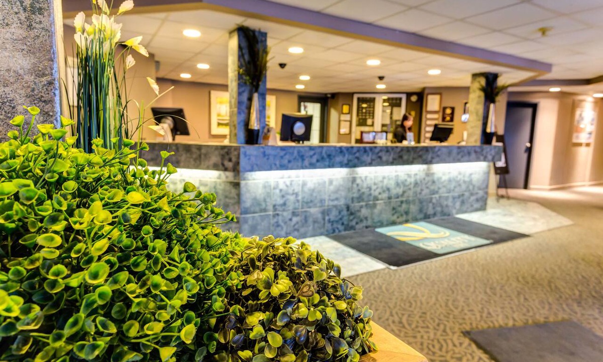 West Edmonton Hotel | Quality Inn West Edmonton