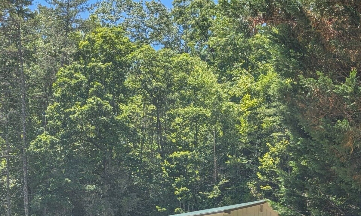 Lake Toxaway House | Quiet 3-bedroom house in Lake Toxaway. Short drive to many waterfalls.