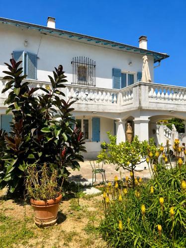 Saint-Laurent-du-Var Apartment | Quiet apartment with private garden
