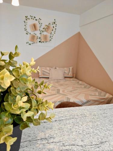 Dudu Apartment | Quiet & Bright Studio - Available Monthly