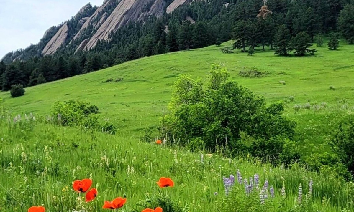 Flagstaff Cottage | Quiet Cottage Retreat Near Chautauqua & CU – Peaceful University Hill Location