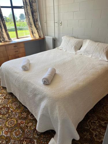 Temuka House | Quiet country setting- R3 Magnolia House