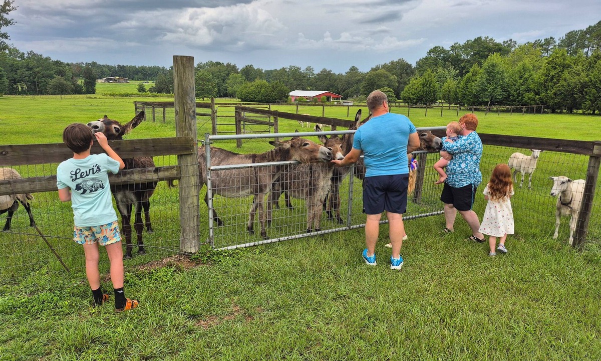 Williston House | Quiet Getaway in Horse Country-West House-Close to Ocala/Gainesville, Pets Ok!