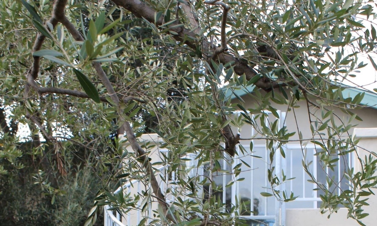 Coronado Cottage | Quiet Granny Flat 1-1/2 Blocks to Beach, Bay, Tennis, and Hotel Del