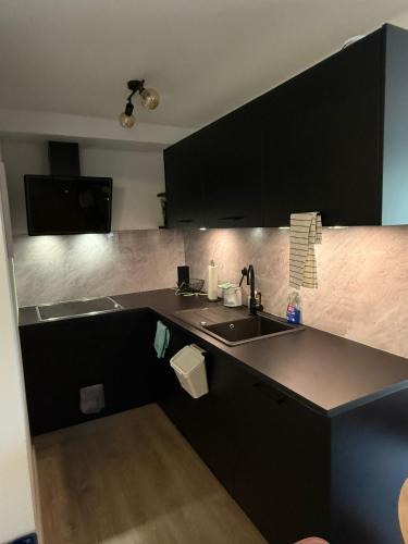 Kirchehrenbach Apartment | Quiet Modern Apartment