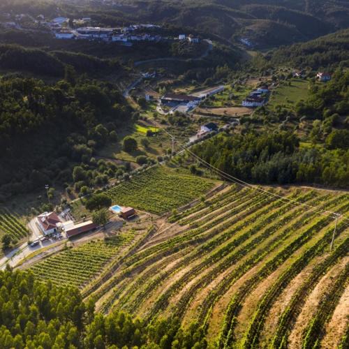 Arganil House | Quinta da Aldeia Nova