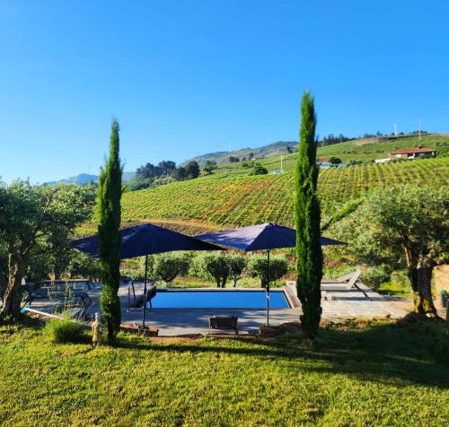Tabuaco House | Quinta dos Piscos