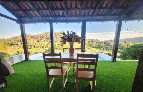 Santa Catarina House | Quinta Eva