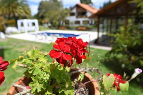 Tababela Hotel | Quinta La Constanza