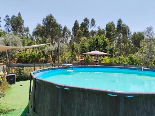 Serta Other | Quinta Lima
