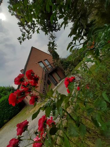 Wavre Apartment | Résidences De Champles