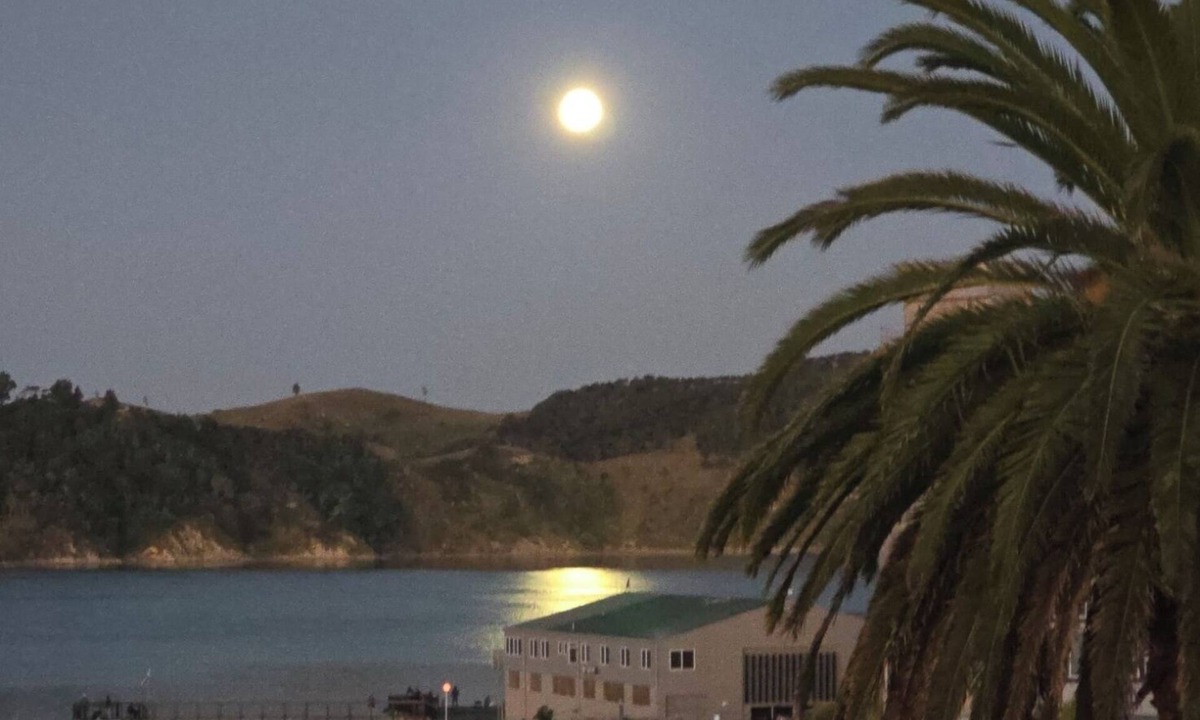 Raglan House | Raglan beach hideaway, stunning views. 5 minute walk to the Famous Raglan Wharf.