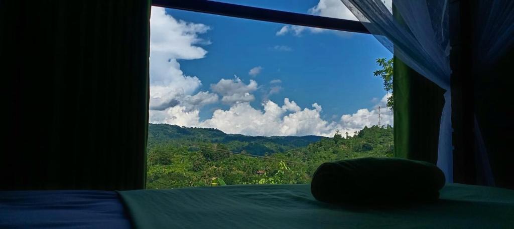 Kotapola House | Rainforest Hide View