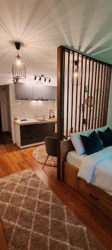Hunedoara Apartment | Raluca Studio Central HD