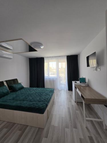 Pitesti House | Ram house1