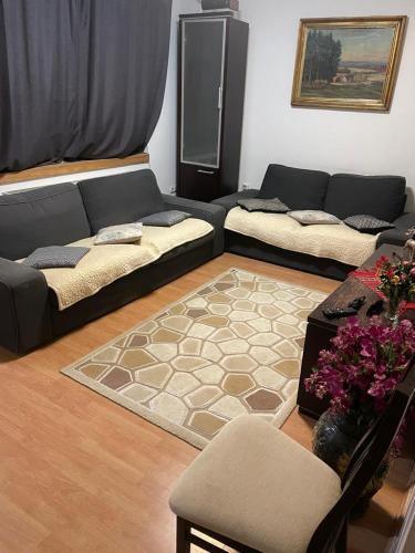 Brasov Villa | Rami Vila Central