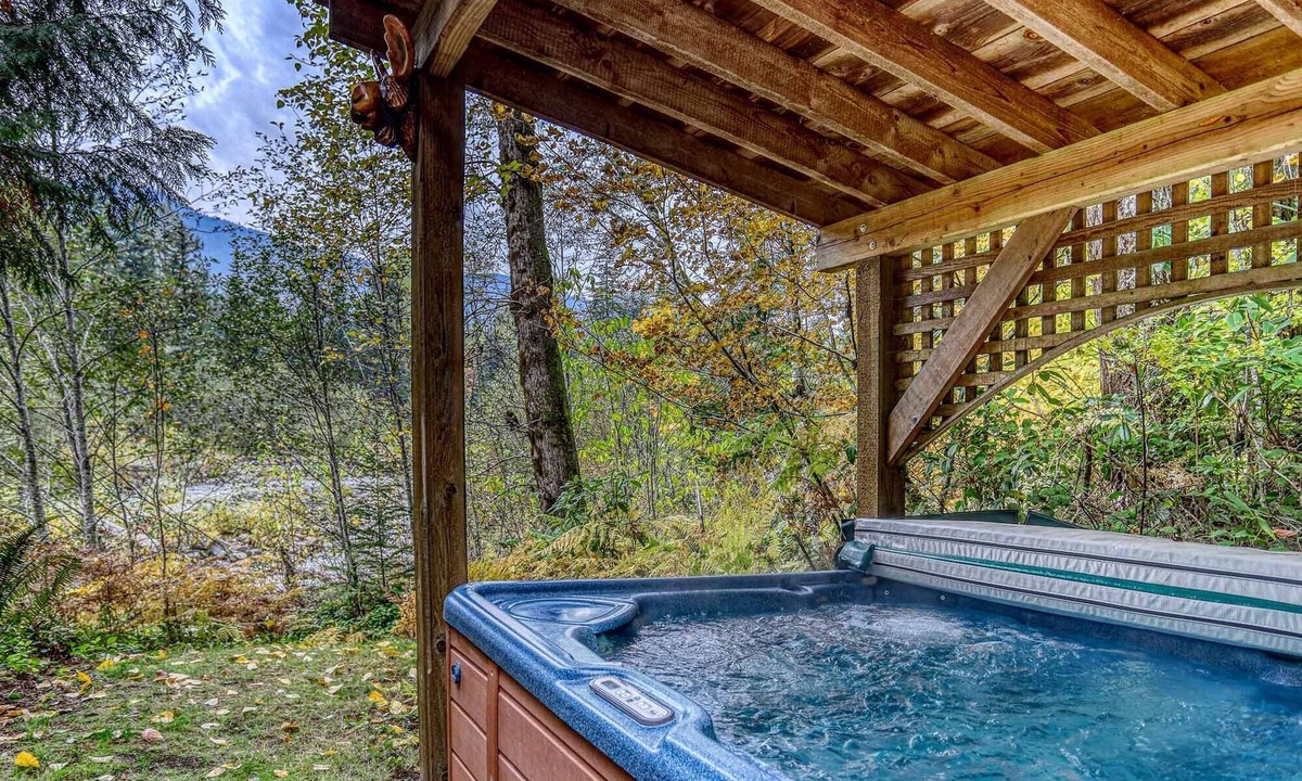 Rhododendron Cabin | Rapid River Retreat, gourmet kitchen, fireplace, hot tub