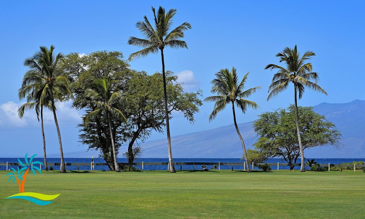 Kaanapali Condo | Rarely available, Premium Kaanapali Golf front, ocean views MER J100