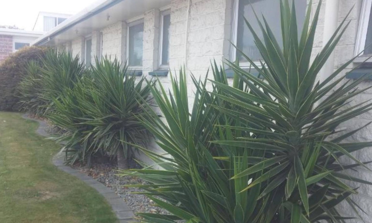 Blenheim Hotel | Raymar Motor Inn
