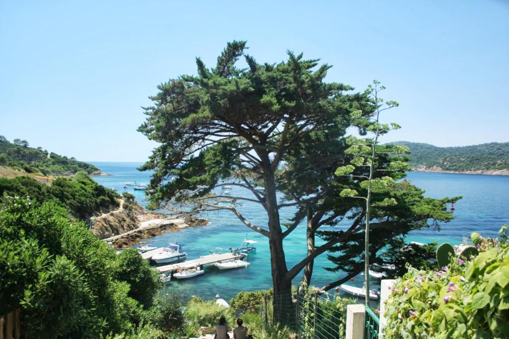 Ile du Levant House | RC d'un Cabanon écologique ile du levant Naturiste reservable du samedi au samedi