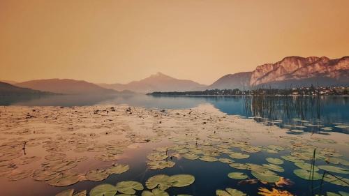 Colà Di Lazise House | Re Lear Al Lago