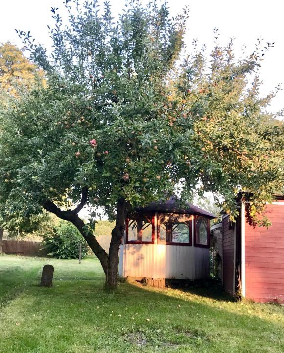 Heringen Apartment | Rebenlaub