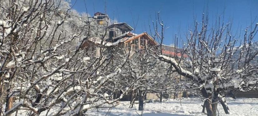 Manali Villa | RedHomeX Hilly PARADISE Villa
