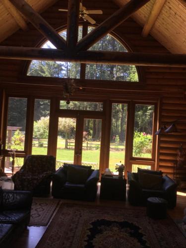 Crescent City House | Redwood forest