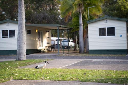 Coffs Harbour Resort | Reflections Coffs Harbour - Holiday Park