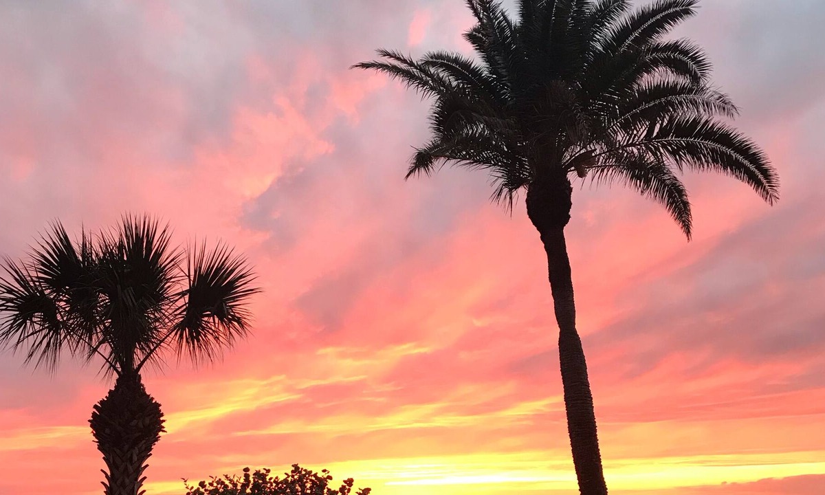 Indian Rocks Beach Apartment | Reflections on the Gulf -Family Friendly Beach Front Condo -2 weeks minimum stay