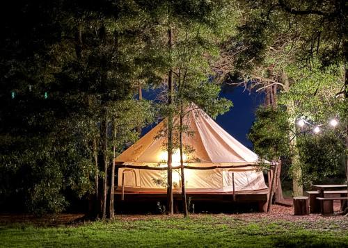 Lobos Other | REFUGIO Natural Glamping