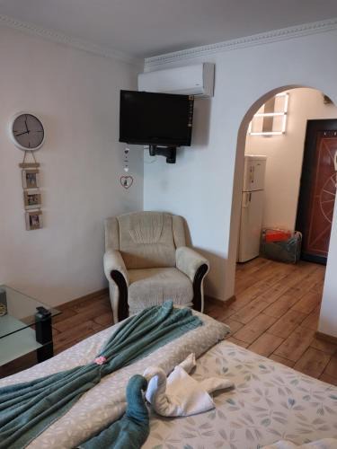 Oradea Apartment | Regal
