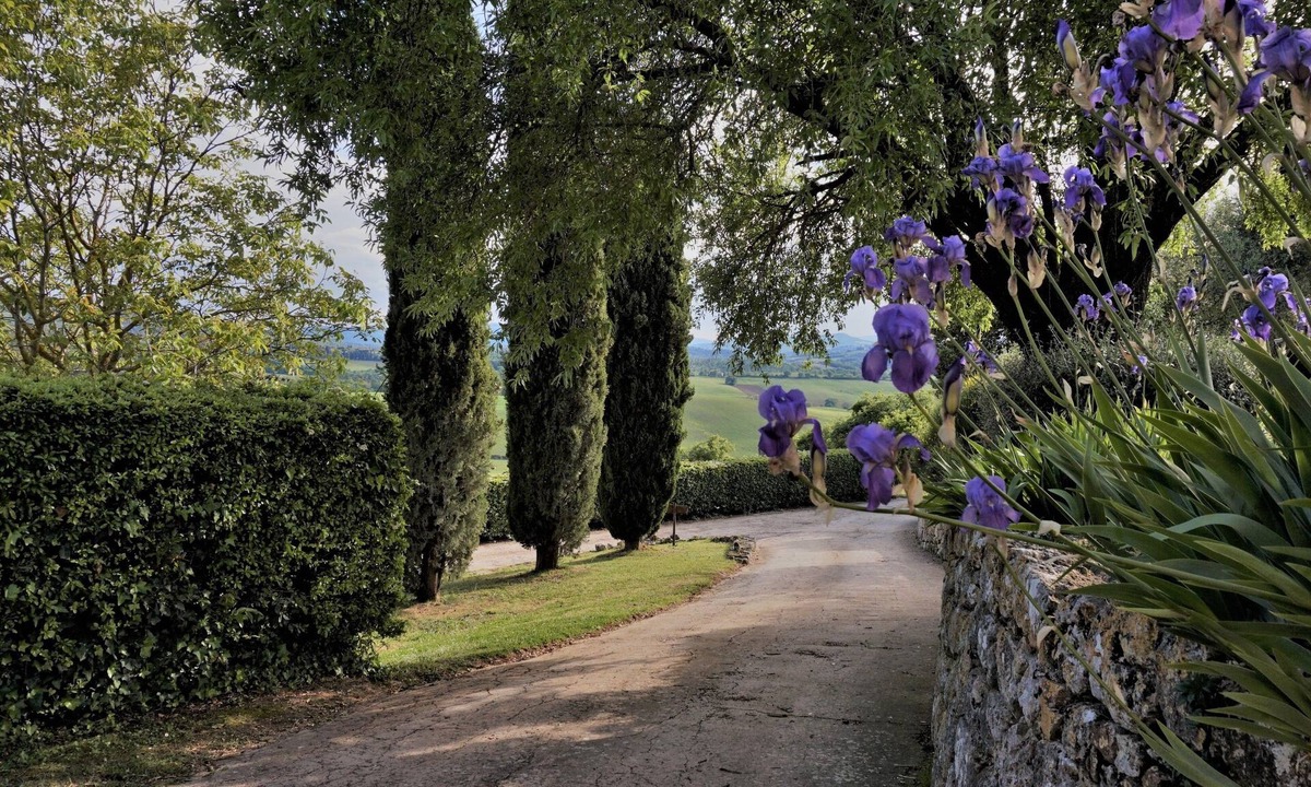Strove Hotel | Relais Castel Bigozzi