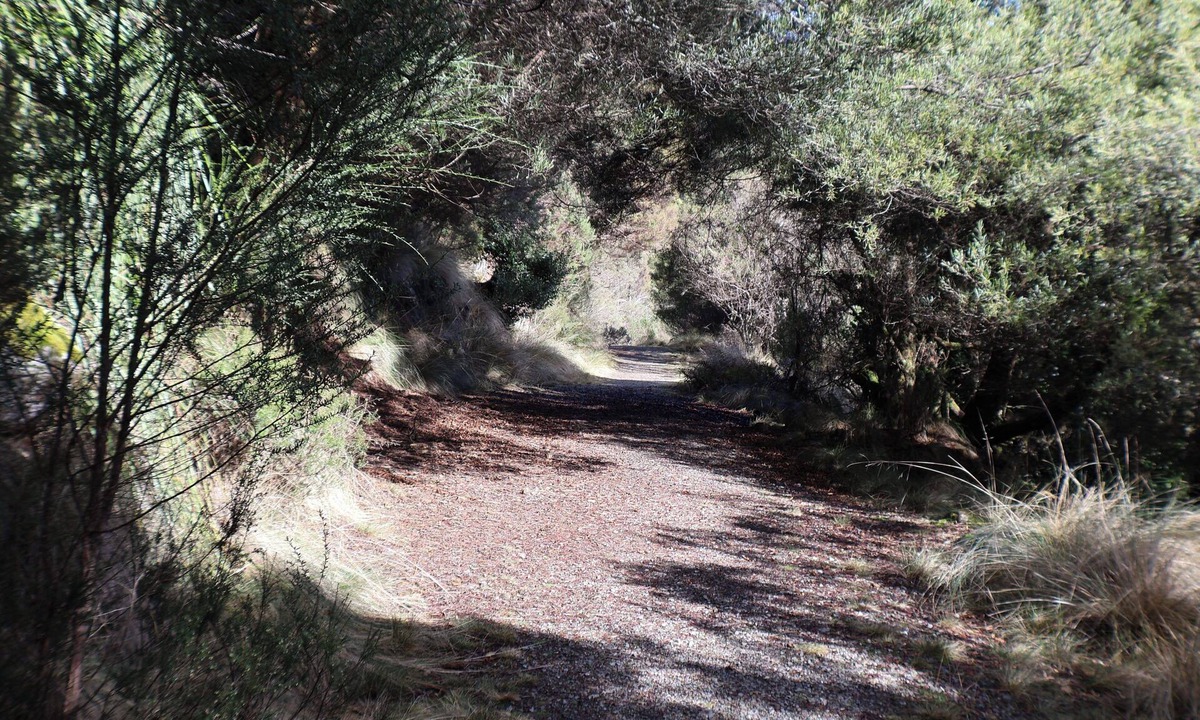 Waratah Cottage | Relax in privacy. Explore the beauty of Waratah, The Tarkine & Cradle Mountain.