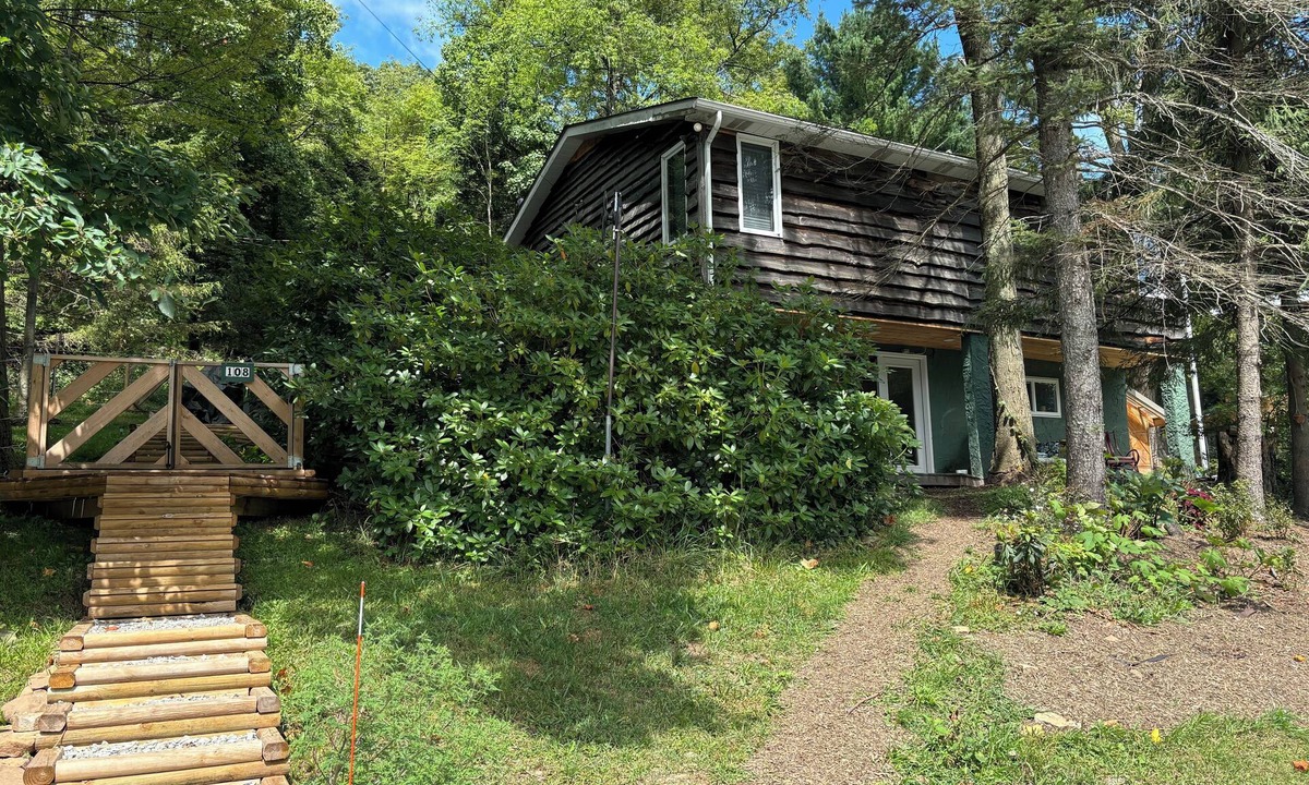 Champion House | Relaxing 3 BR Seven Springs Mountain Cabin