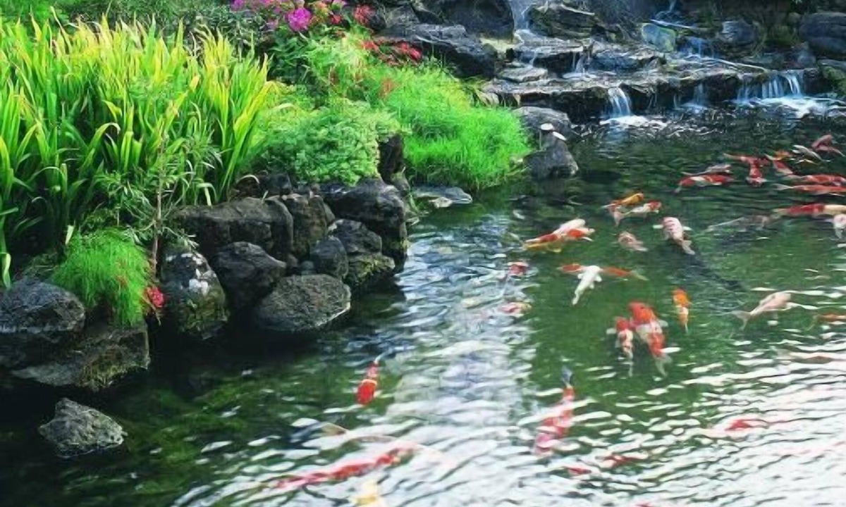 Ala Moana House | Relaxing Stay! 4 Convenient Units, Onsite Pool, Pet-Friendly Property
