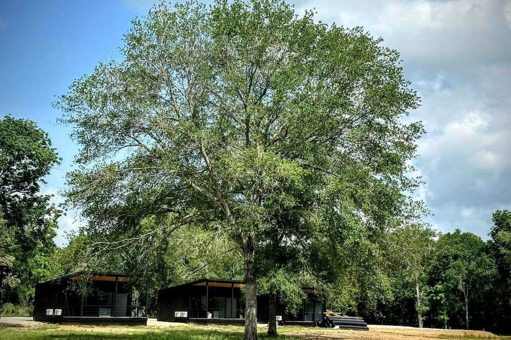 Waller Cabin | Relaxing Tiny Home Retreat with Pool, Goats & Firepits near Houston in Hempstead, Texas