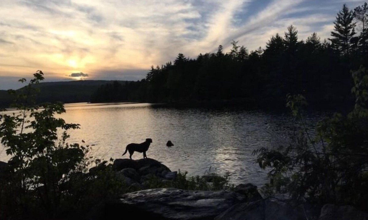 Bucksport Cabin | Remote off-grid cabin on pond 4WD/AWD required
