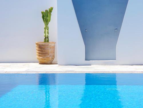 Galissas Apartment | Remvi