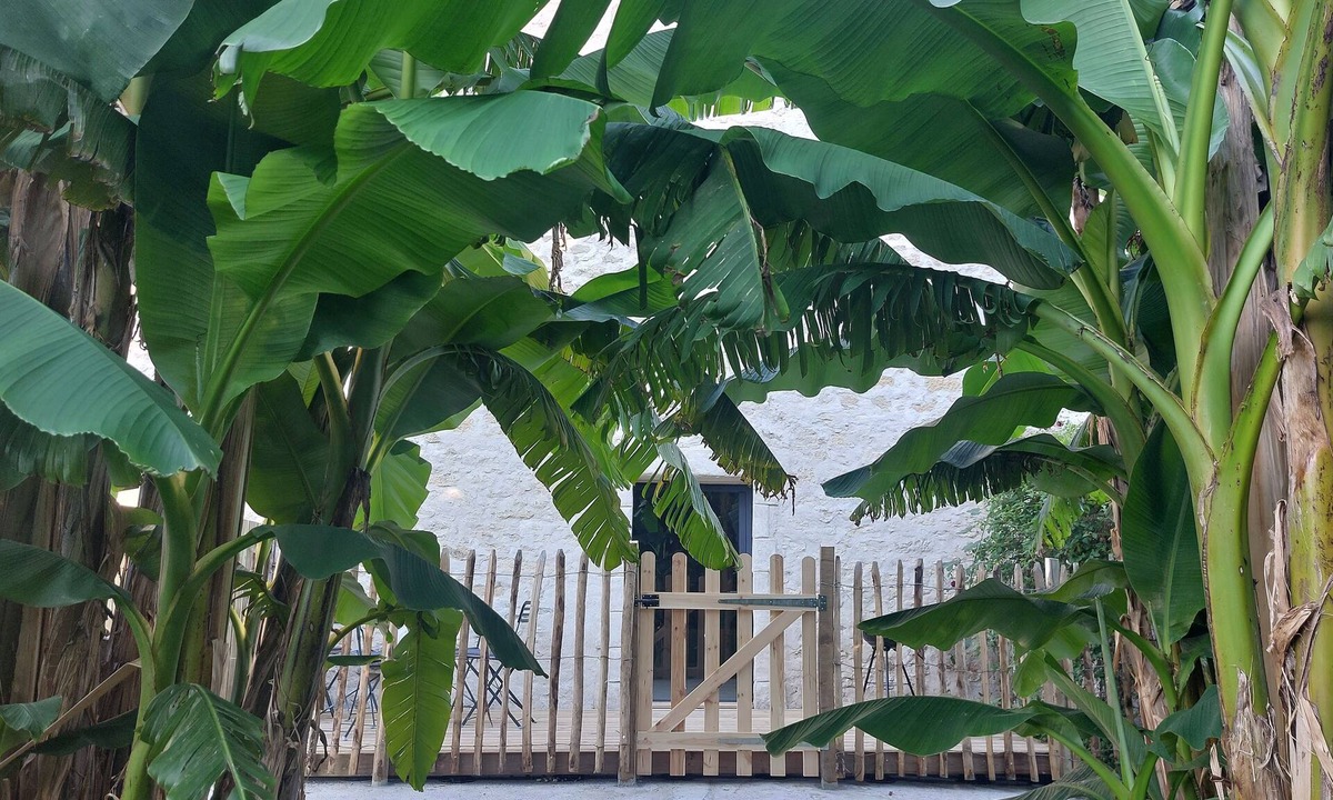 Saint-Michel-Lapujade House | Renovated former cowshed surrounded by nature. Pets welcome!