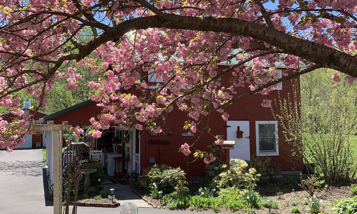 Bridgeton Townshp House | Renovated 1920's Barn Cottage. Pets welcome. No cleaning fees.