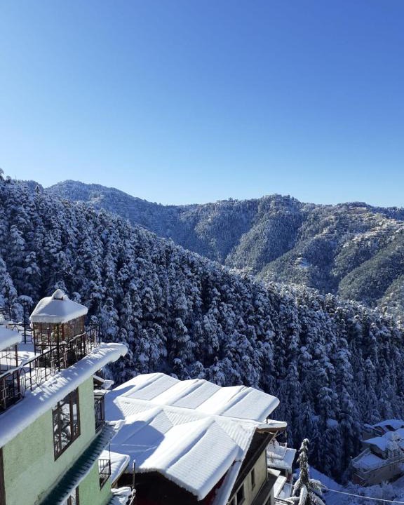 Shimla Apartment | Residence Inn
