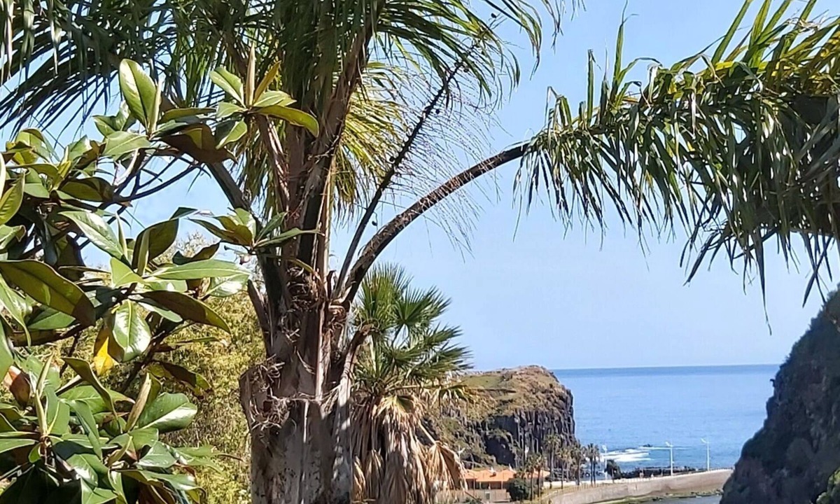 Faial House | Resilient paradise