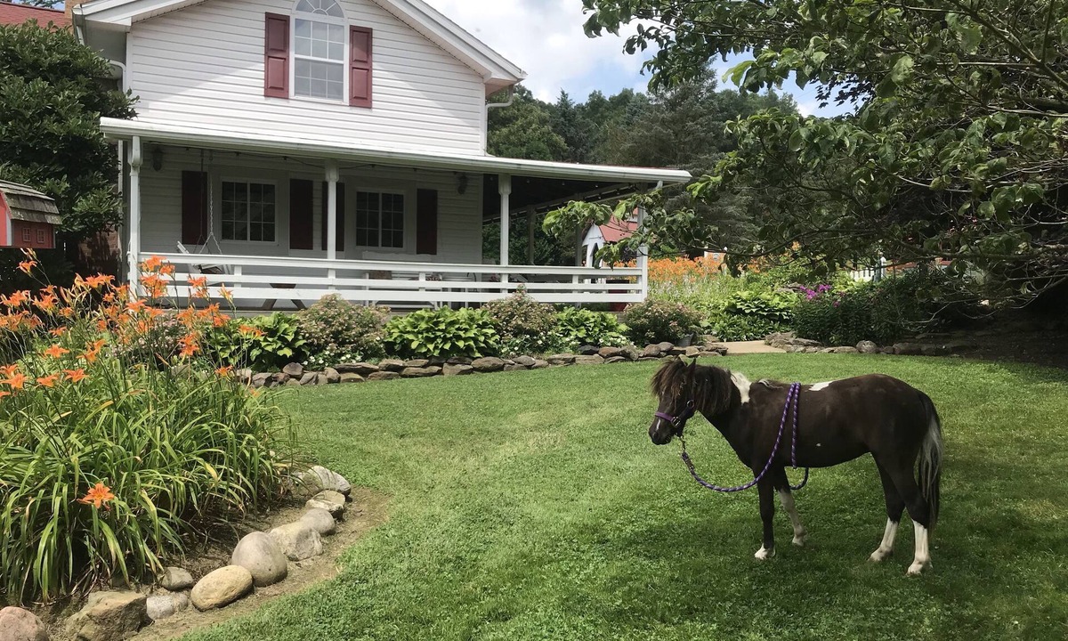 Perrysville House | Restored Historical Farmhouse With Pond And Farm Animals At Mohican State Park