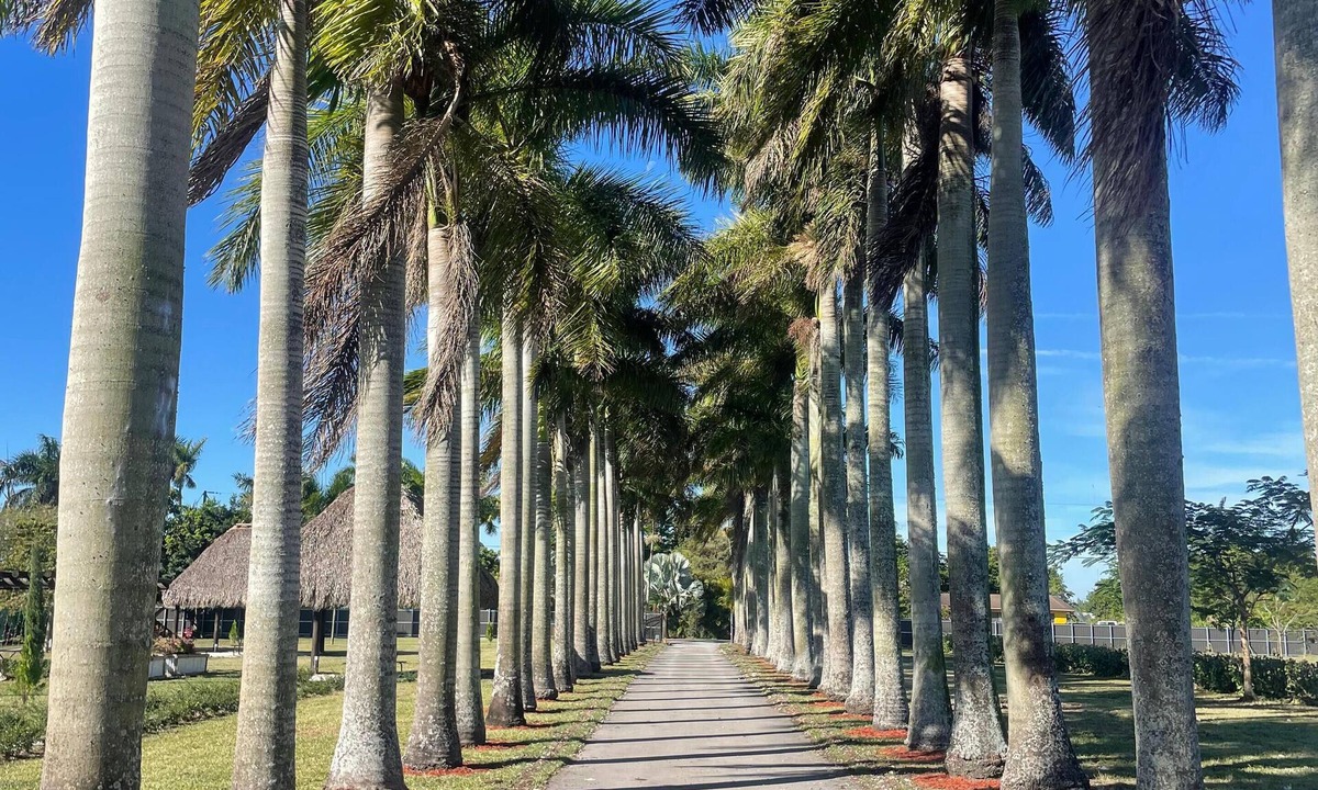 Ludlam Cabin | Retiro wellness privado en Miami - Naturaleza, descanso y conexión